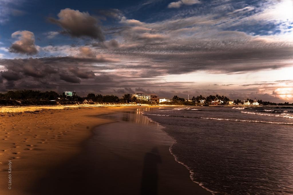 Iguana Crossing Boutique Hotel Puerto Villamil Ngoại thất bức ảnh
